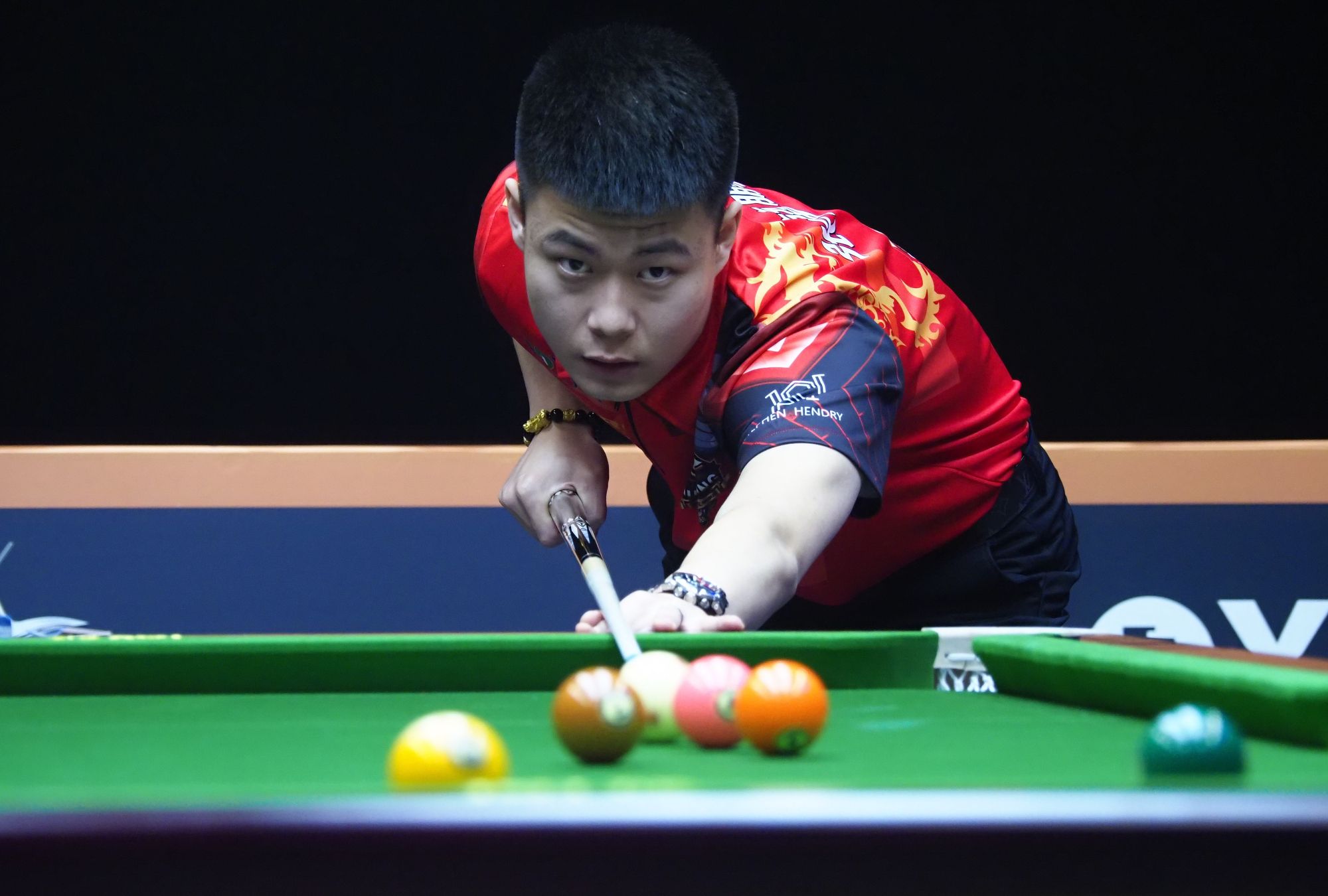 公众可以从 公众可以从